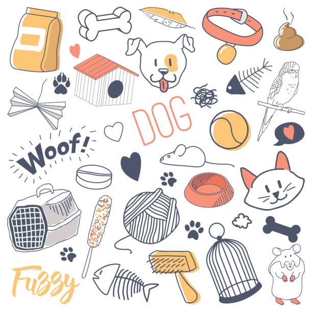 bildbanksillustrationer, clip art samt tecknat material och ikoner med husdjur hand dras doodle med katter, hundar och papegoja - cat leash