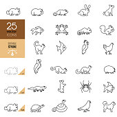 Pets Icon Set. Editable Stroke