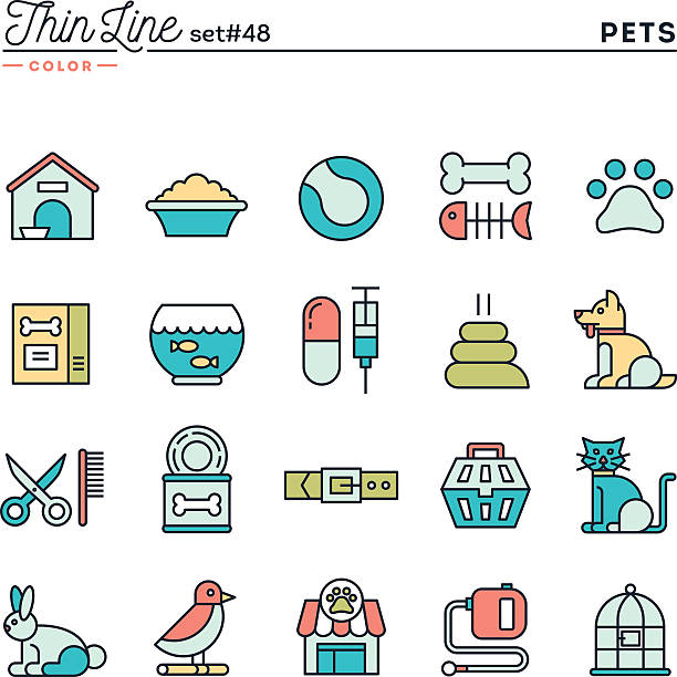 bildbanksillustrationer, clip art samt tecknat material och ikoner med pets, thin line color icons set - cat leash