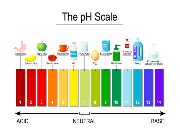 pH scale. Universal Indicator pH. Test Strips pH scale. Universal Indicator pH. Test Strips use for Track and Monitor pH for Alkaline and Acid levels. Color vector diagram for educational, medical, science use acid stock illustrations