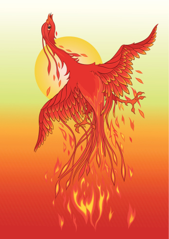 Phoenix bird vector illustration