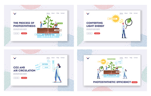 Photosynthesis Process Landing Page Template Set. Tiny Scientist at Infographics Presenting Changes Sunlight Into Energy