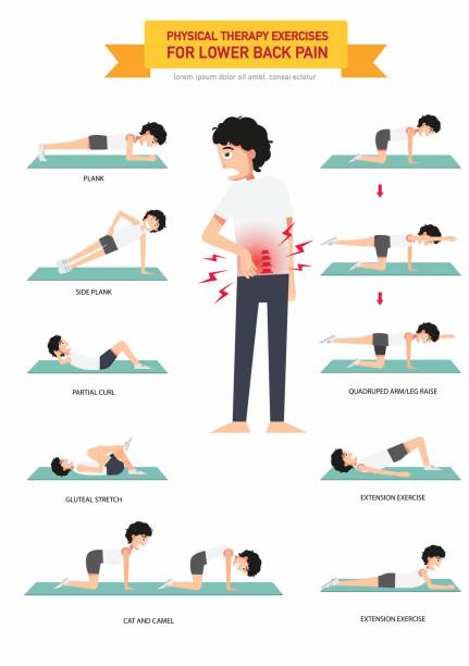 ilustrações, clipart, desenhos animados e ícones de exercícios de fisioterapia para o fundo das costas dor infográfico - lombar