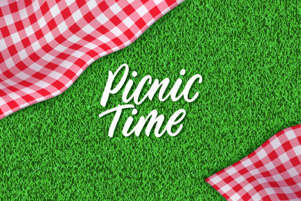 Picnic horizontal background. Vector poster or banner template with realistic red gingham plaid on green grass lawn Picnic time hand drawn calligraphy lettering. Horizontal spring or summer background with tablecloth on green grass. Vector poster or banner design template with realistic red gingham plaid on lawn picnic stock illustrations