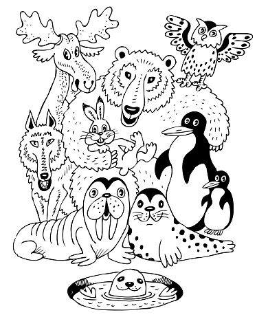 Picture from child's coloring book of arctic animals