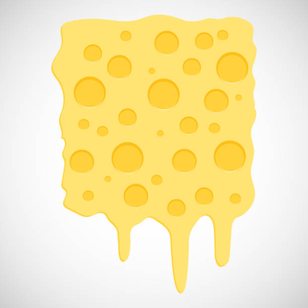 Piece of cheese isolated on a white background. Melted cheese. Vector illustration. Vector. vector art illustration