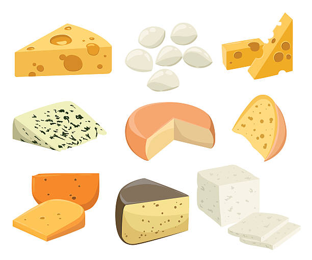 Pieces of Cheese isolated on white. Pieces of Cheese isolated on white. Popular kind of cheese icons isolated. Cheese types. Modern flat style realistic vector illustration brie stock illustrations