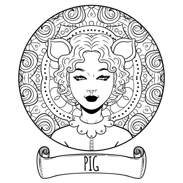Pig Chinese zodiac sign artwork as beautiful girl, adult coloring book page, vector illustration Pig Chinese zodiac sign artwork as beautiful girl, adult coloring book page, vector illustration drawing of the bull head tattoo designs stock illustrations