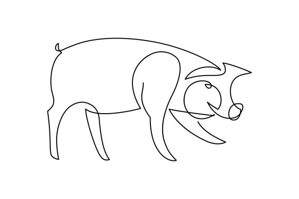 Pig Pig in continuous line art drawing style. Minimalist black linear sketch isolated on white background. Vector illustration pig clipart stock illustrations