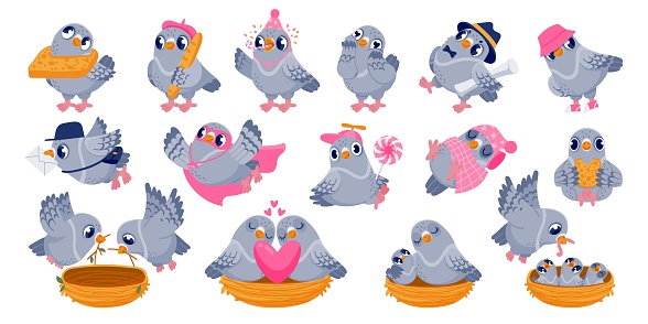Pigeon characters. Cartoon funny birds sitting together and communicating, building nest and having a conflict. Vector pigeon animals interactions set