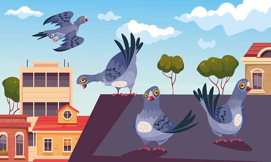Pigeon fly and nest on city roof. Street urban animal birds concept. Vector isolated graphic design illustration