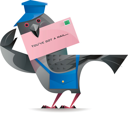 pigeon with envelope