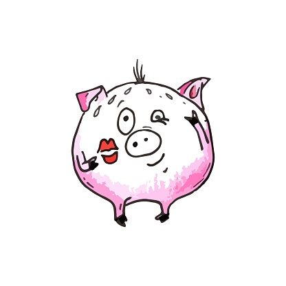 Piggy Mi 7