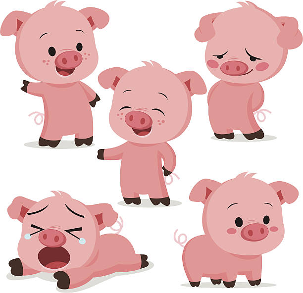 Piglet Cartoon Set Simple pig cartoon collection pig clipart stock illustrations