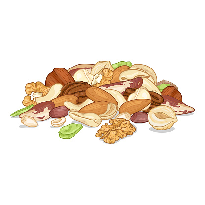 cartoon nuts pile nut vector illustration organic different macadamia clip snack illustrations healthy istockphoto