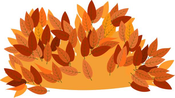 куча осенних листьев на белом фоне - and piles of leaves stock illustration...
