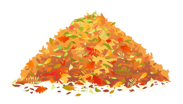 Pile of Fallen Leaves Pile of various autumn fallen leaves in red and orange colors, one big dump of leaves, autumn concept illustration, isolated heap stock illustrations