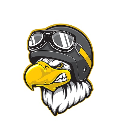 Pilot eagle bird mascot, aviator helmet, goggles