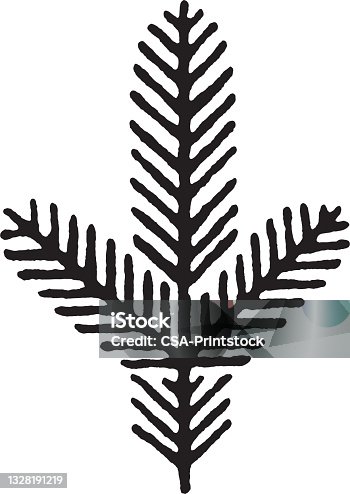 istock Pine Bough 1328191219