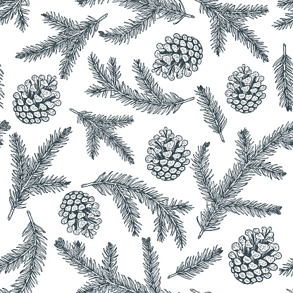 Pine cones and pine branches seamless pattern. Christmas hand drawn background.