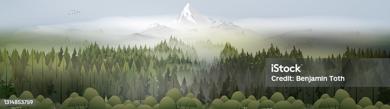 istock Pine forest mountains in mist panorama 1314853759