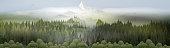 istock Pine forest mountains in mist panorama 1314853759
