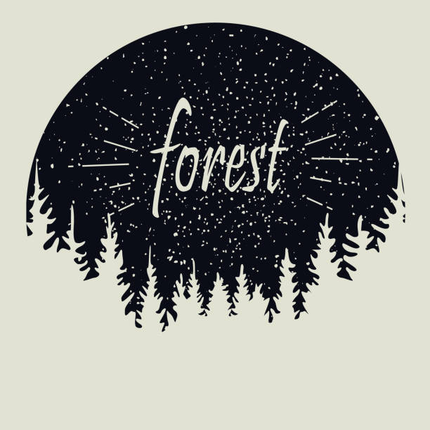 Pine forest star sky. design template. Sketch Vector illustration tree, pine, outdoor, print, travel, line, stars, night, old, black, illustration, wood, forest, texture, cover, hipster, background, silhouette, wild, logo, wildlife, adventure, white, concept, graphic, explore, fir, aspiration, retro, backdrop, spruce, motivation, poster, nature, camping, landscape, vector, sky, wanderlust, design, dusk, panorama, sign, badge, vintage, inspiration, coniferous, beautiful, star, circle adventure silhouettes stock illustrations