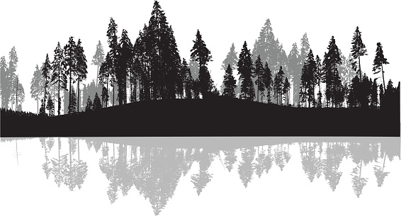 Download Pine Trees Silhouette Background Stock Illustration ...