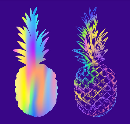 Pineapple artwork. Hand drawn sketchy and silhouette ananas. Picture of vitamin summer dessert.