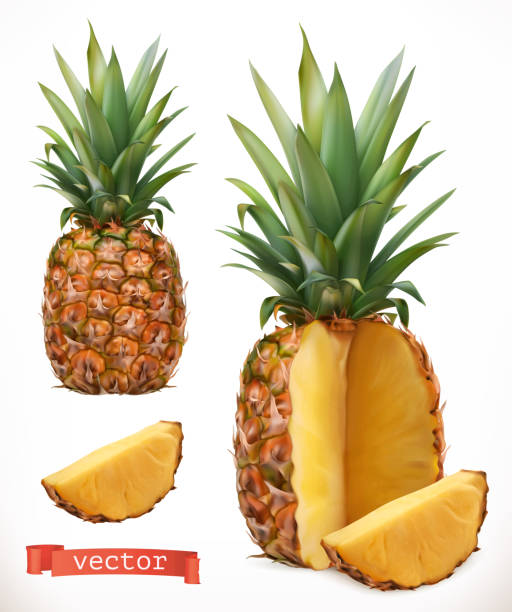 Pineapple. Fresh fruit 3d realistic vector icon Pineapple. Fresh fruit 3d realistic vector icon pineapple stock illustrations