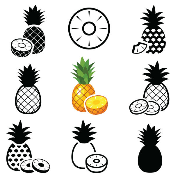 stockillustraties, clipart, cartoons en iconen met ananas pictogrammen - zomer nederland