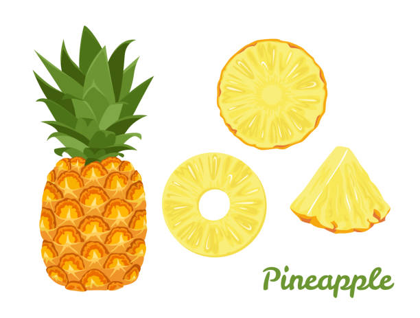Pineapple set. Whole pineapple and slices isolated on a white background. Vector illustration of tropical fruit in cartoon flat style. Pineapple set. Whole pineapple and slices isolated on a white background. Vector illustration of tropical fruit in cartoon flat style. pineapple stock illustrations