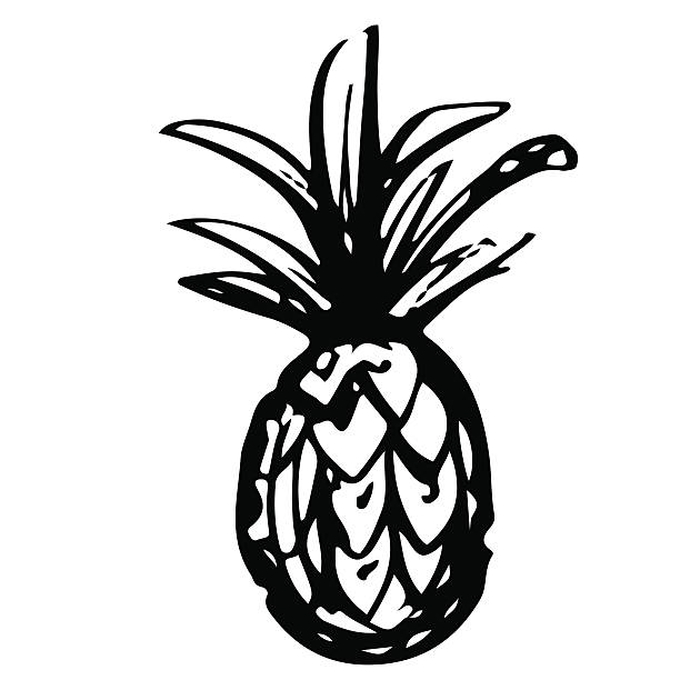 Pineapple Clip Art, Vector Images & Illustrations - iStock
