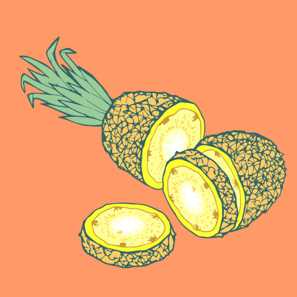 Pineapple vector art illustration