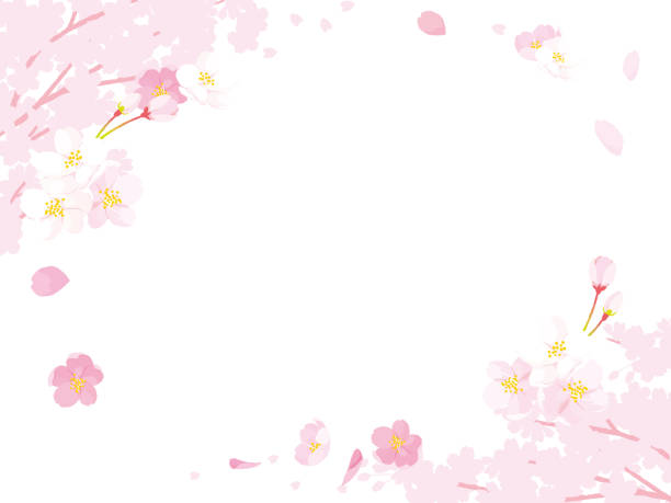 ピンク桜,ベクターイラストレーション - 桜点のイラスト素材／クリップアート素材／マンガ素材／アイコン素材