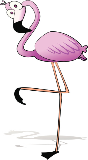 Pink Flamingo Cartoon
