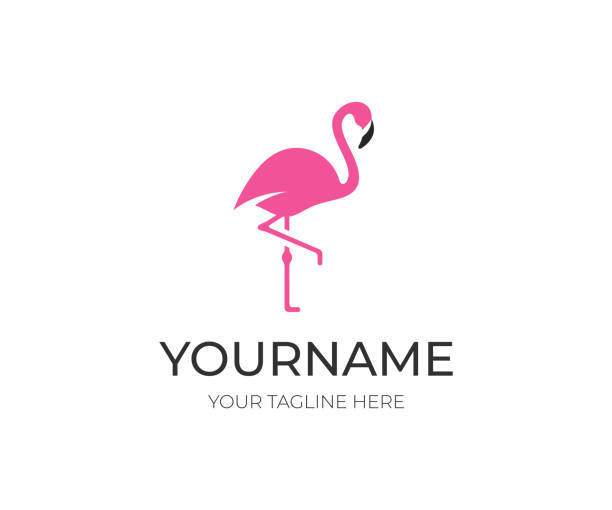 stockillustraties, clipart, cartoons en iconen met roze flamingo, ontwerp. vogel vector ontwerp. dierenwereld illustratie - flamingo
