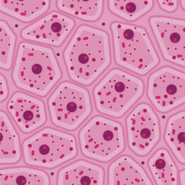stockillustraties, clipart, cartoons en iconen met roze menselijke huid cel vector naadloze patroon - cel