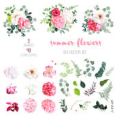 Pink hydrangea, rose, white peony, iris, ochid and sage greenery, flowers, eucalyptus big vector collection. Floral bright watercolor style wedding bouquets. All elements are isolated and editable