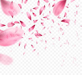 istock Pink sakura falling petals background. Vector illustration 907963842