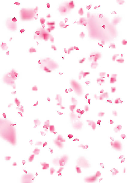 ピンクの桜の花びらの背景。 - 花びら　舞う点のイラスト素材／クリップアート素材／マンガ素材／アイコン素材