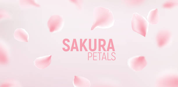 花のベクトルの背景のピンクの桜花びら。ロマンチックな花さくら花びら - 花びら　舞う点のイラスト素材／クリップアート素材／マンガ素材／アイコン素材