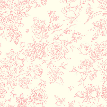 Pink single line rose graphics on white background