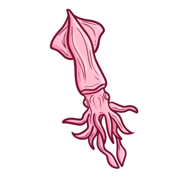 ピンクのイカの水泳 - イカ点のイラスト素材／クリップアート素材／マンガ素材／アイコン素材