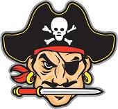 Arrgg A pirate head me matey to replace them ol' looking logo's out there... arrgggg.