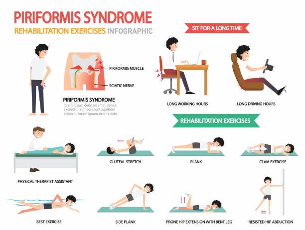 ilustrações, clipart, desenhos animados e ícones de infográfico, ilustração de exercícios de reabilitação de síndrome do piriforme. - lombar