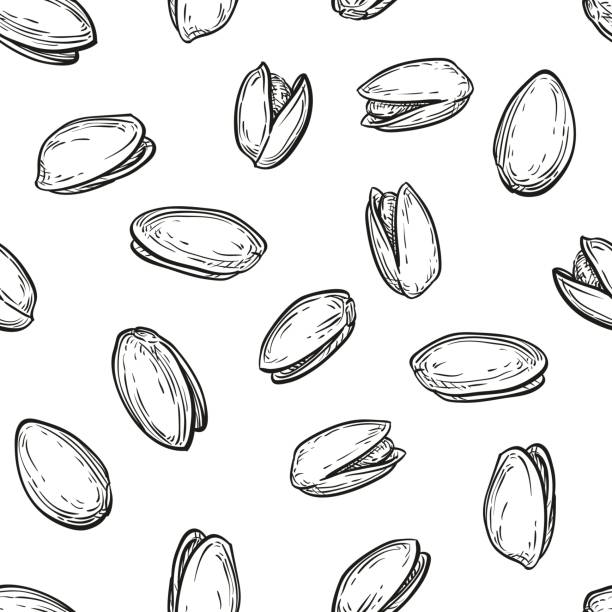 Pistachio seamless pattern Seamless pattern with pistachio nuts. pistachio stock illustrations