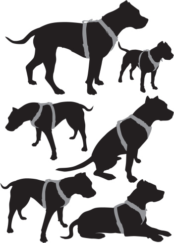 pit bull vector  silhouettes