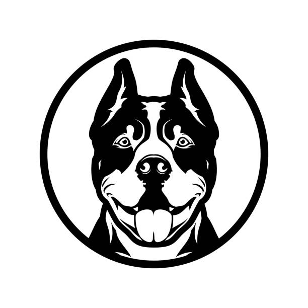 Pitbull boxer dog head cut out silhouette Pit bull boxer dog head mascot in circle - vector cut out silhouette pit bull terrier stock illustrations