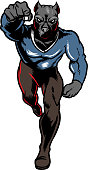 The illustration shows a fighting pitbull. He's wearing a superman suit, he's strong and he has a muscular body.The wild pitbull looks angry and aggressive.